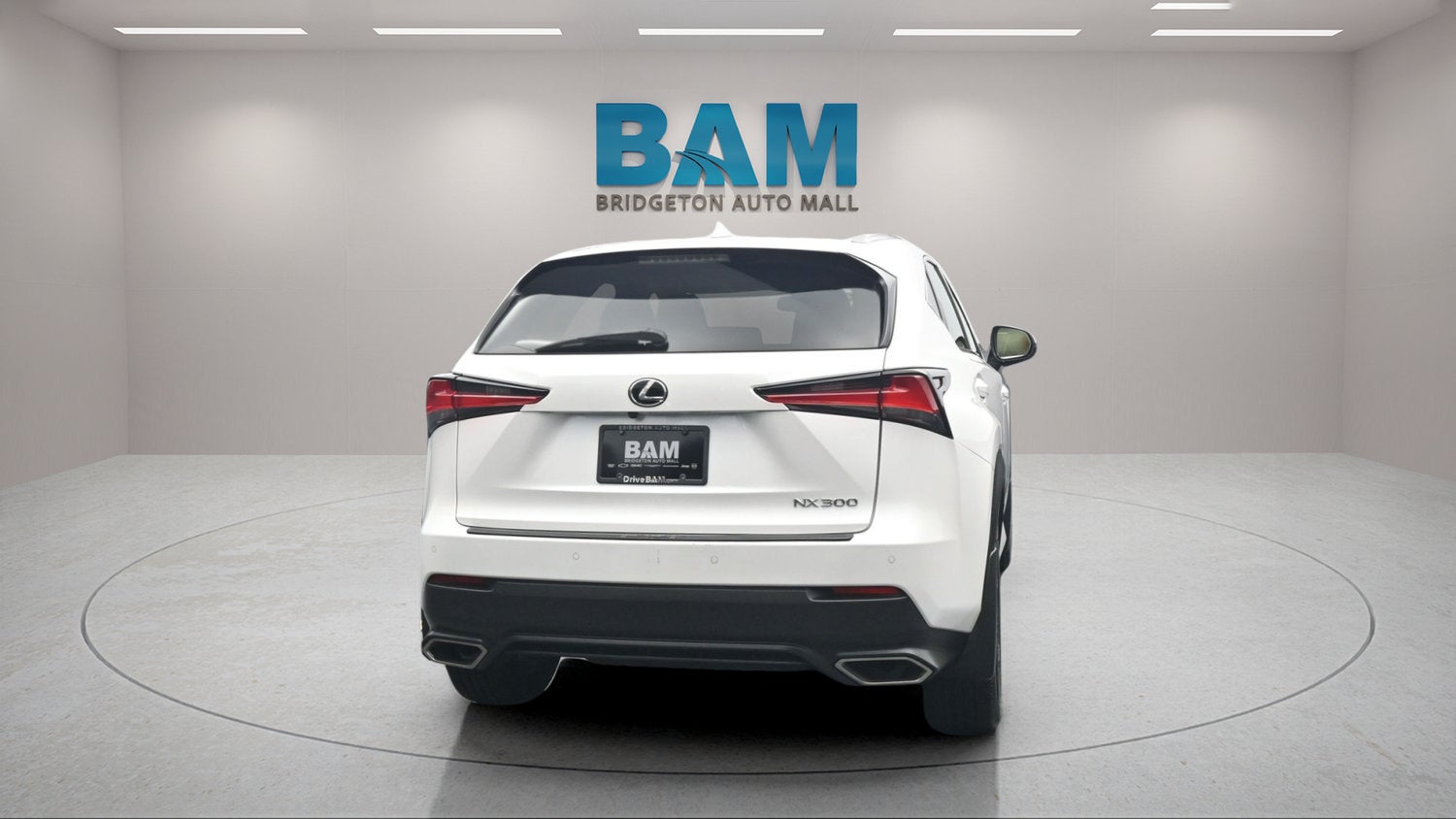 2020 Lexus NX 300 NX 300